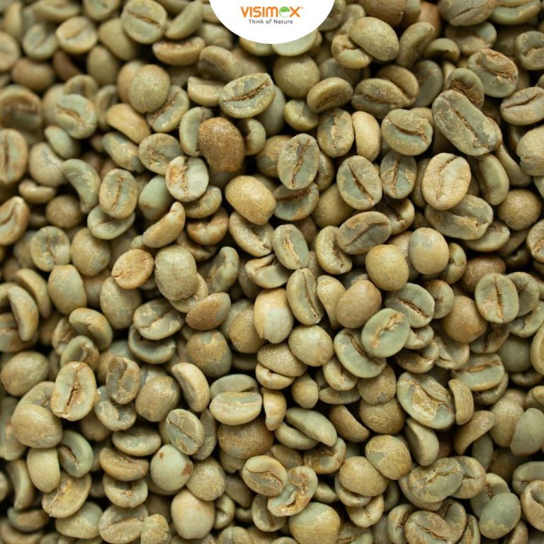 ROBUSTA S16 WET POLISHED