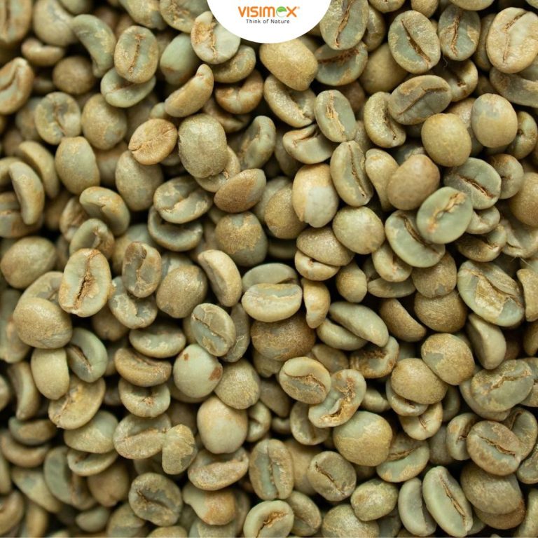 Robusta Screen 18 Clean