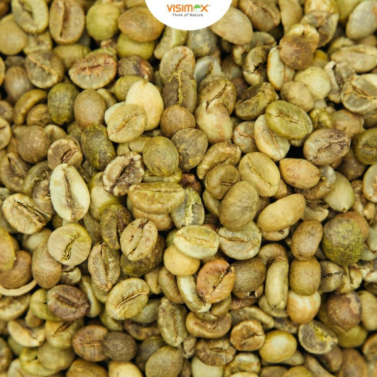 CÀ PHÊ ROBUSTA S18 STANDARD