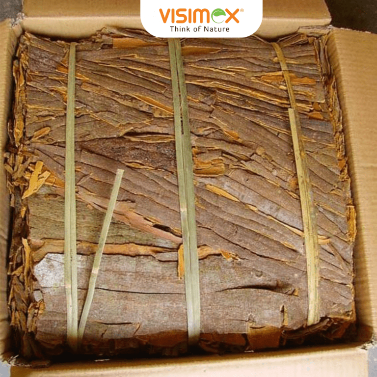 Pressed Cassia