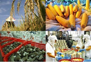 2013年越南农产品出口逾274亿美元