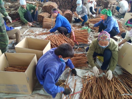 VN growth deficient in quality