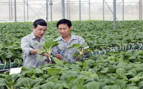 PM okays $4.4 billion package for high-tech agriculture