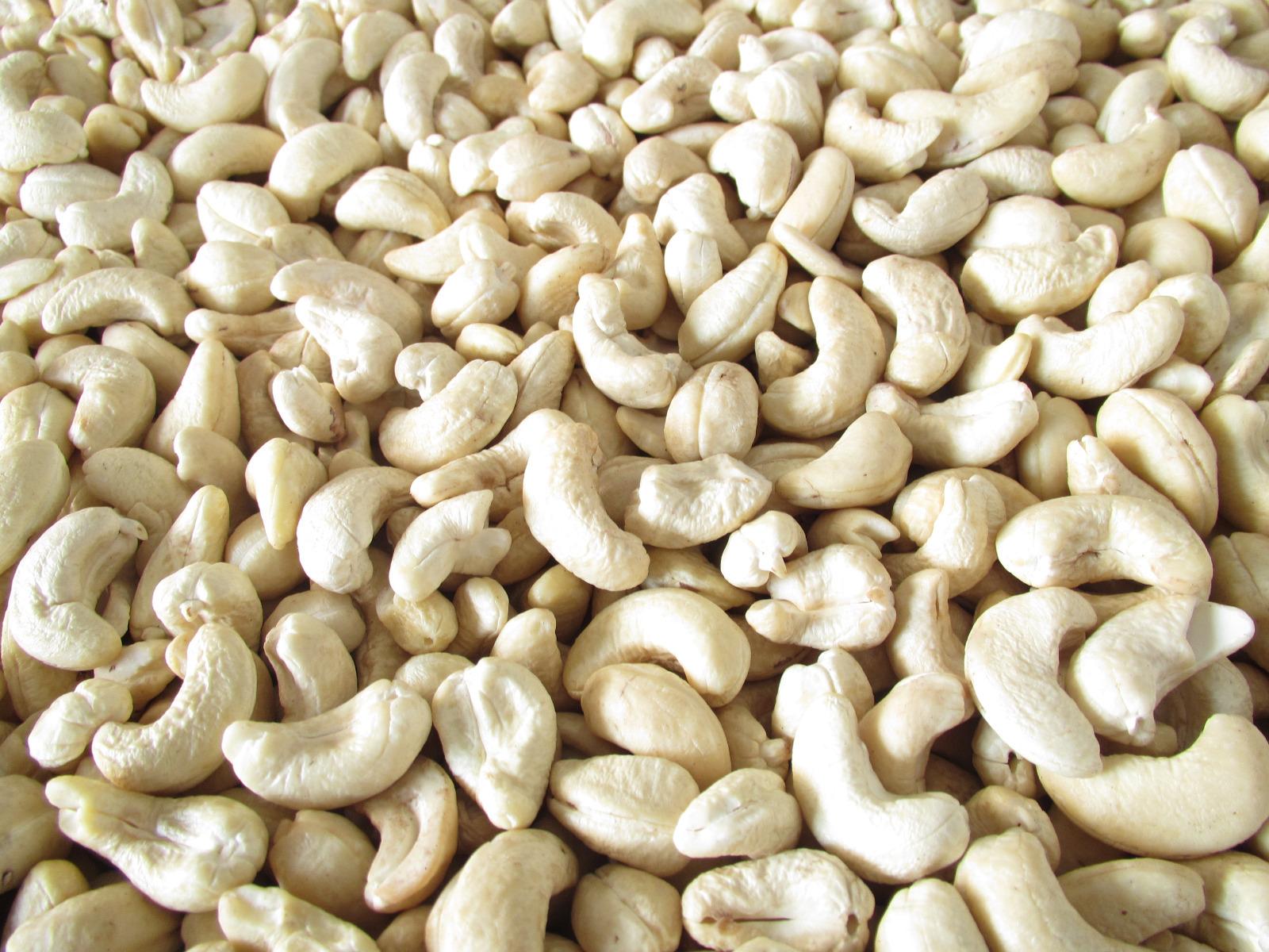 Vietnam remains world leading cashew kernel exporter
