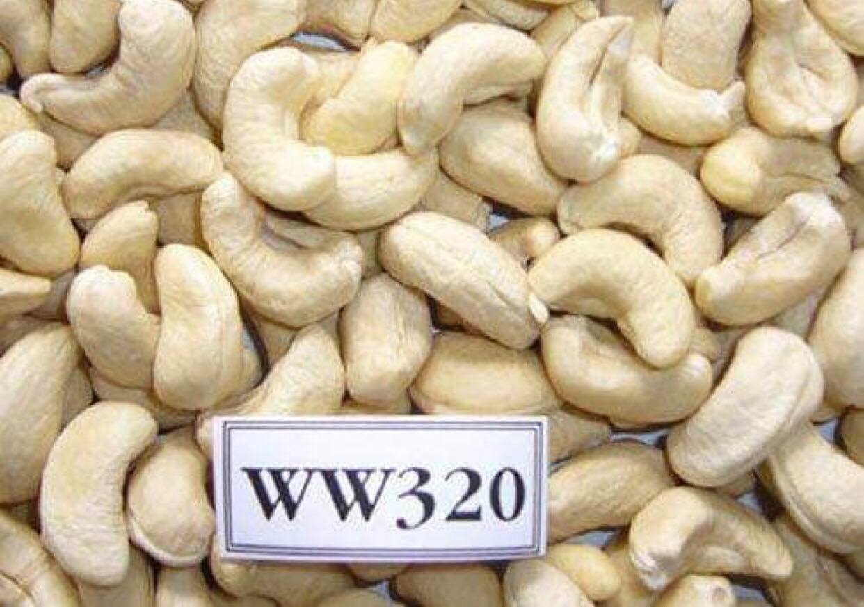 How are cashew nuts classified?