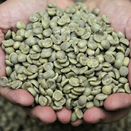 Vietnam reports higher coffee exports to the EU, as free trade agreement comes into force