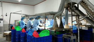 Visimex boosts production after COVID-19 pandemic