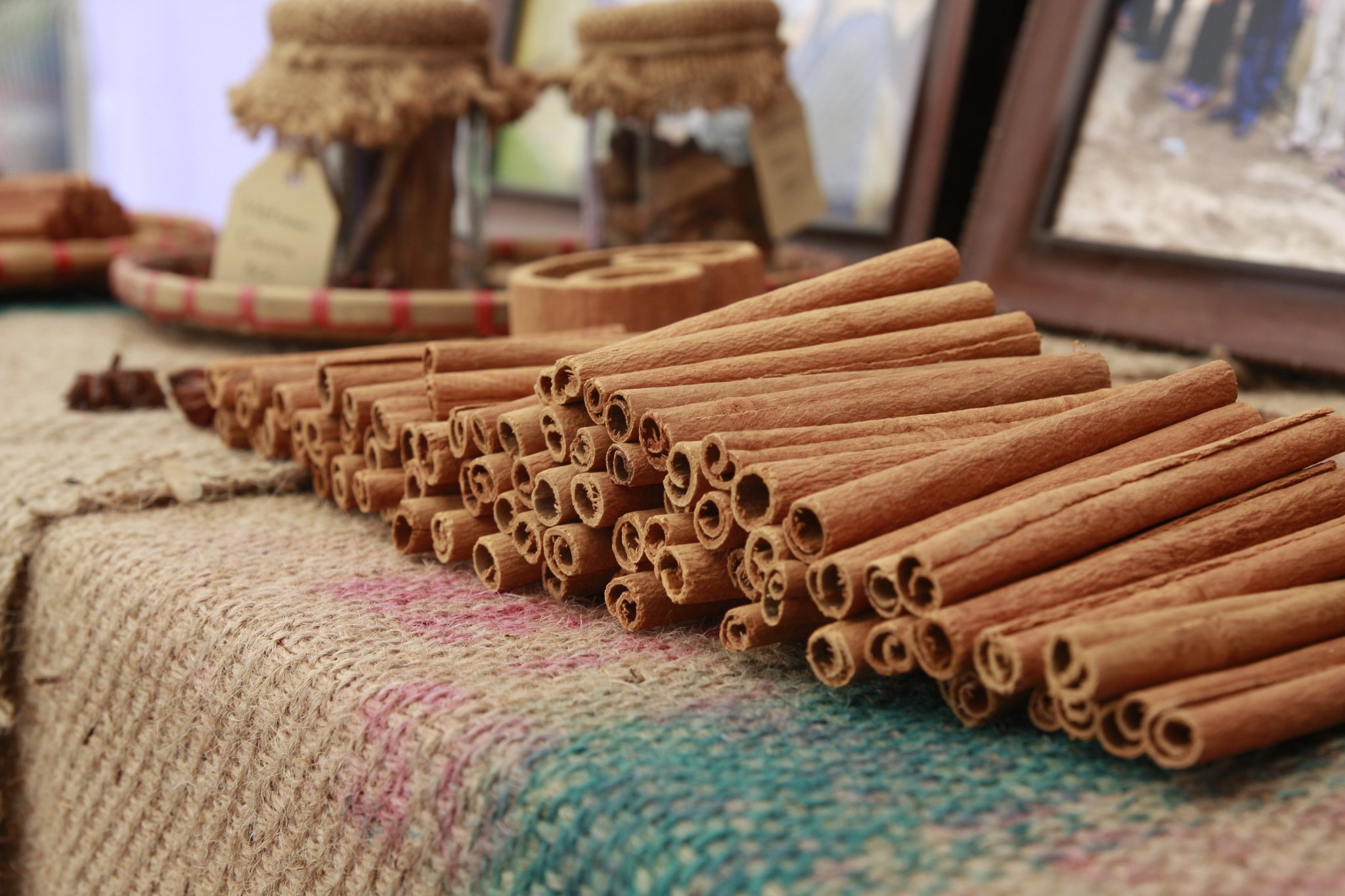Yen Bai - Visimex's high-quality cinnamon growing area