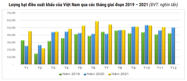 Mỹ vượt Trung Quốc trở thành thị trường số 1 nhập hạt điều Việt Nam