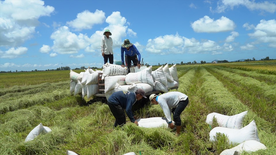 Agriculture continues to be the engine of economic growth in 2022