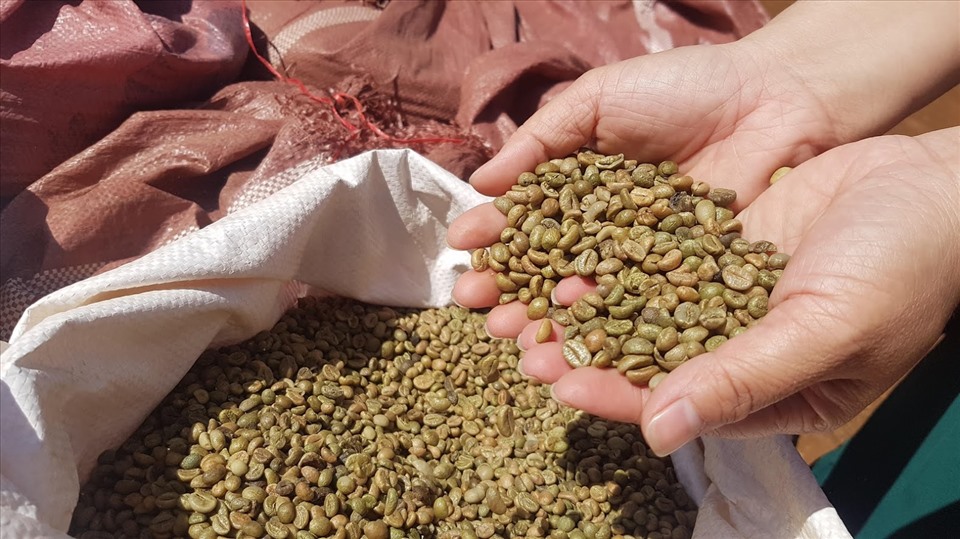 Vietnam's coffee exports ranked second in the world and the disadvantage of 