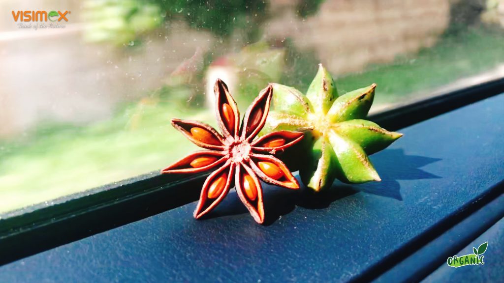 dry and fresh organic star anise