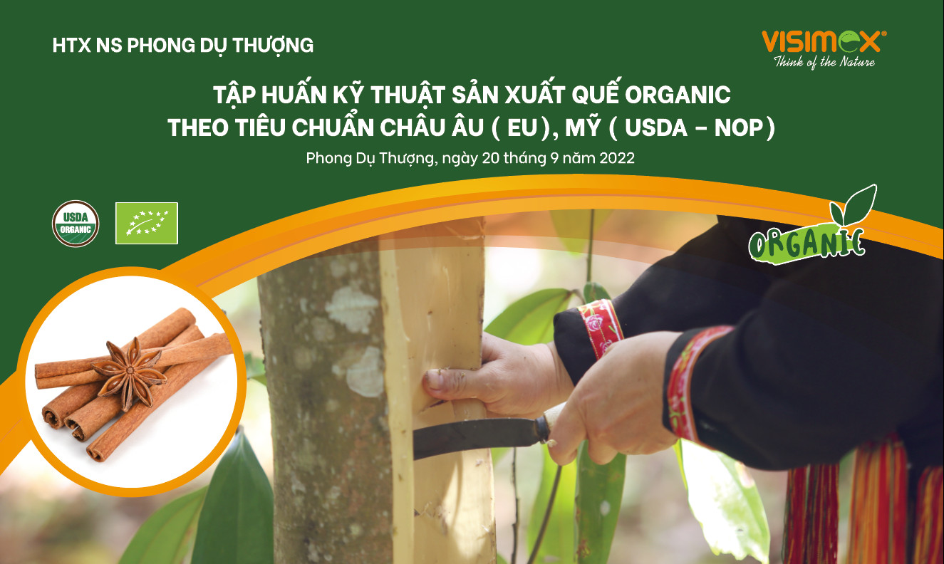 Organic cassia cultivation training