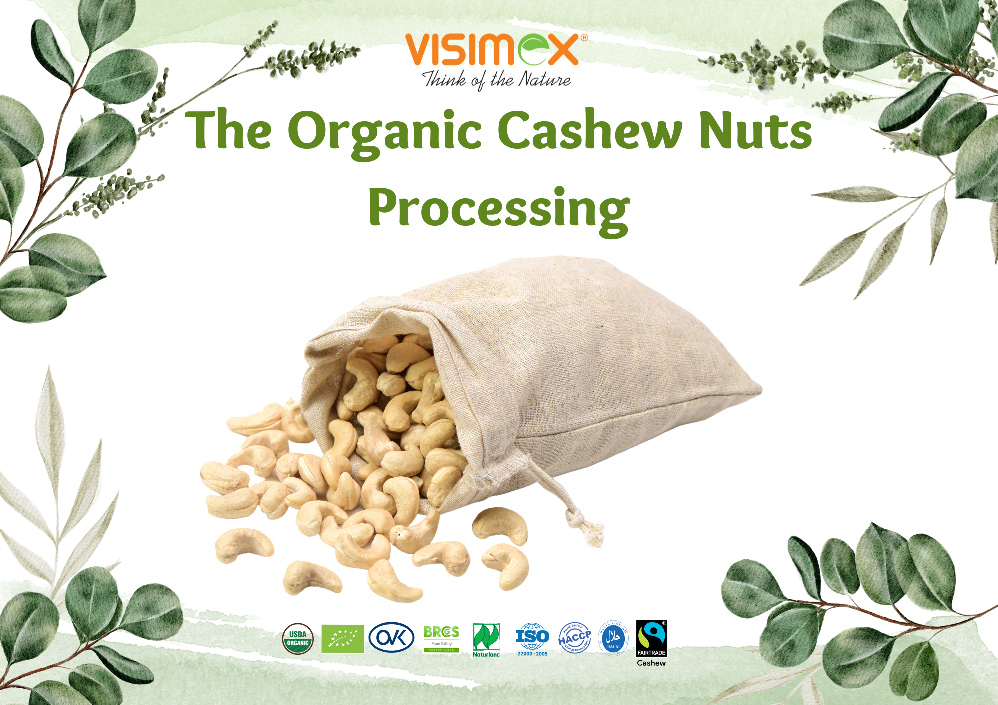 The Organic Cashew Nuts Processing: From Harvesting to Packaging