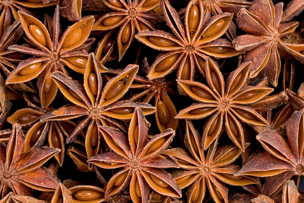 Organic Star Anise in Traditional Medicine
