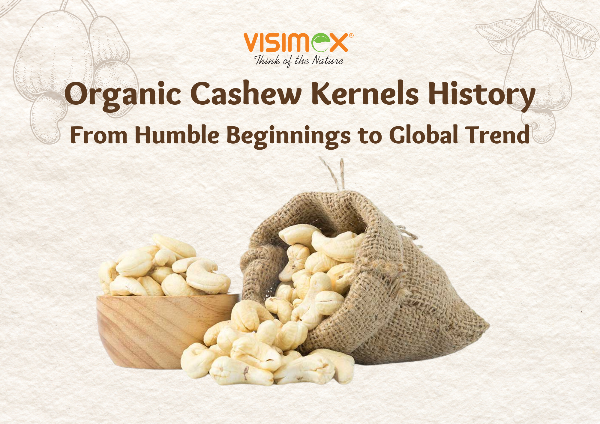 Organic Cashew Kernels History: From Humble Beginnings to Global Trend