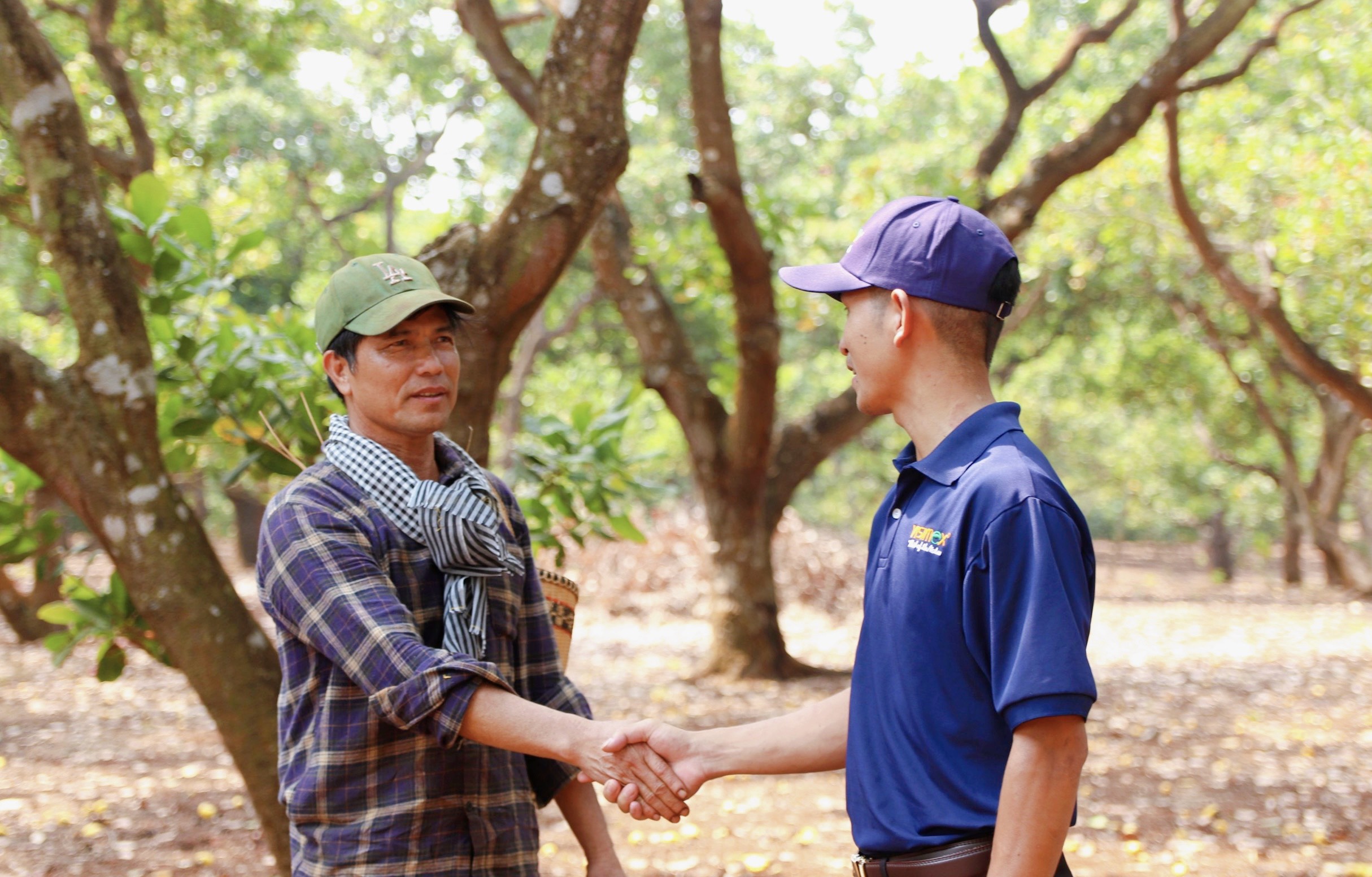 Visimex works closely with local farmers in Binh Phuoc to ensure the highest quality of our organic cashews