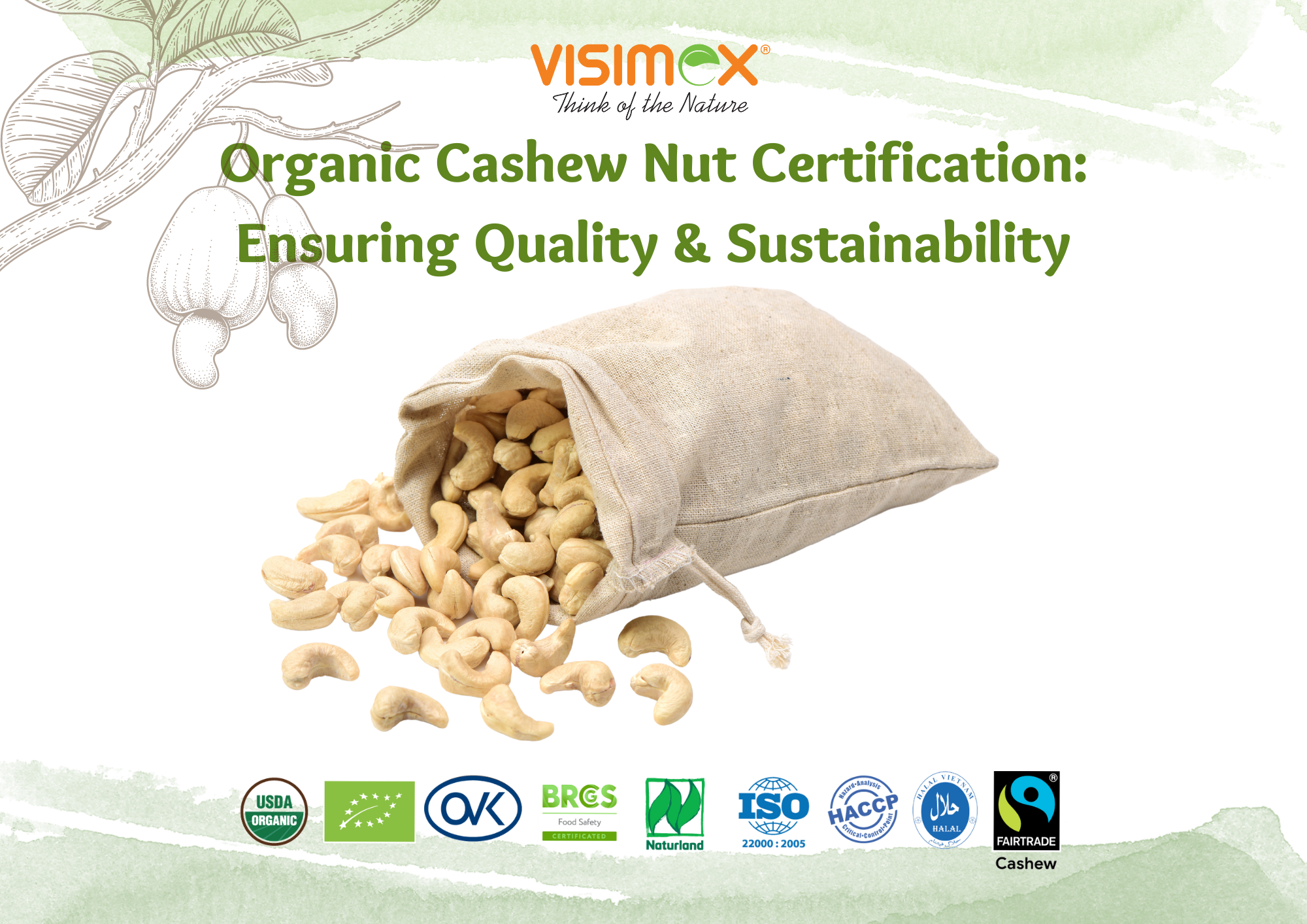Organic Cashew Nut Certification: Ensuring Quality and Sustainability