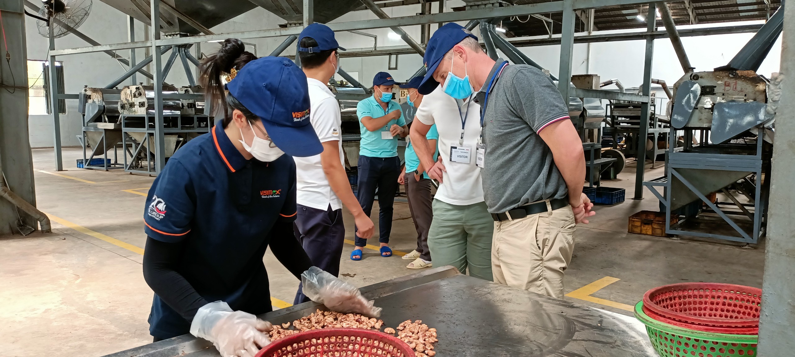 Best Practices for Organic Cashew Nut Processing and Storage