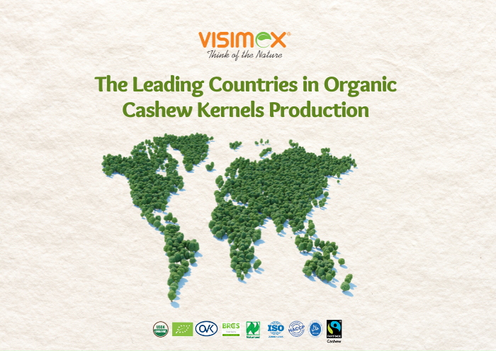 The Leading Countries in Organic Cashew Kernels Production