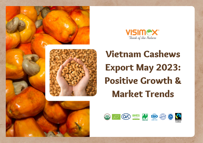 Vietnam Cashews Export May 2023: Positive Growth & Market Trends