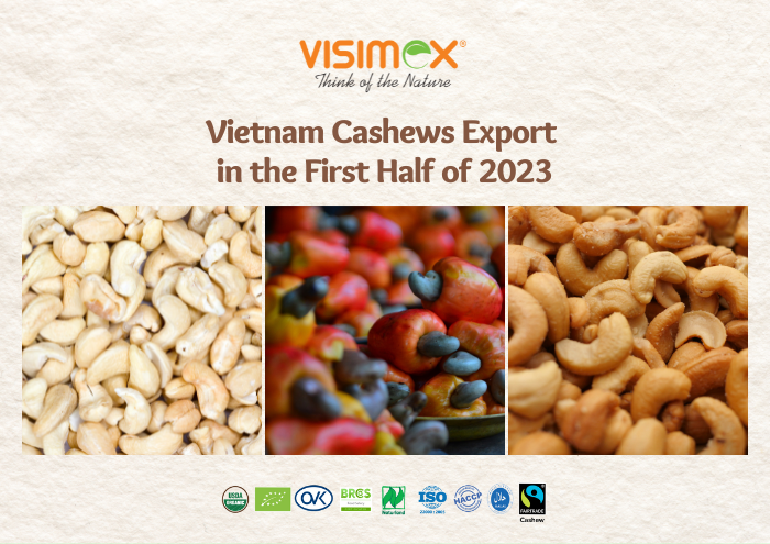 Vietnam Cashews Export in the First Half of 2023: Promising Growth and Market Insights