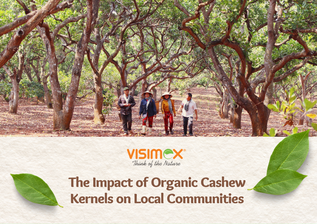 The Impact of Organic Cashew Kernels on Local Communities: Empowering Lives and Fostering Sustainable Development
