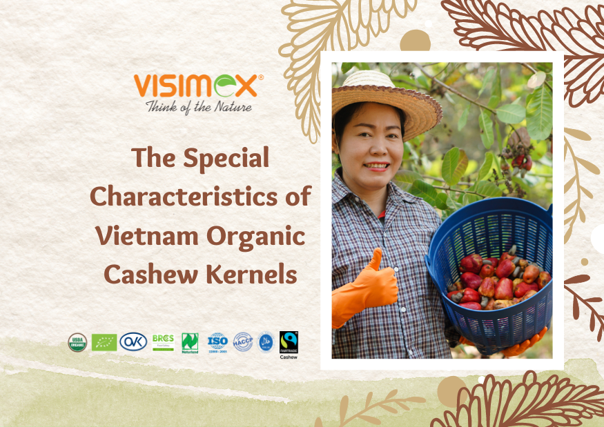 The Special Characteristics of Vietnam Organic Cashew Kernels