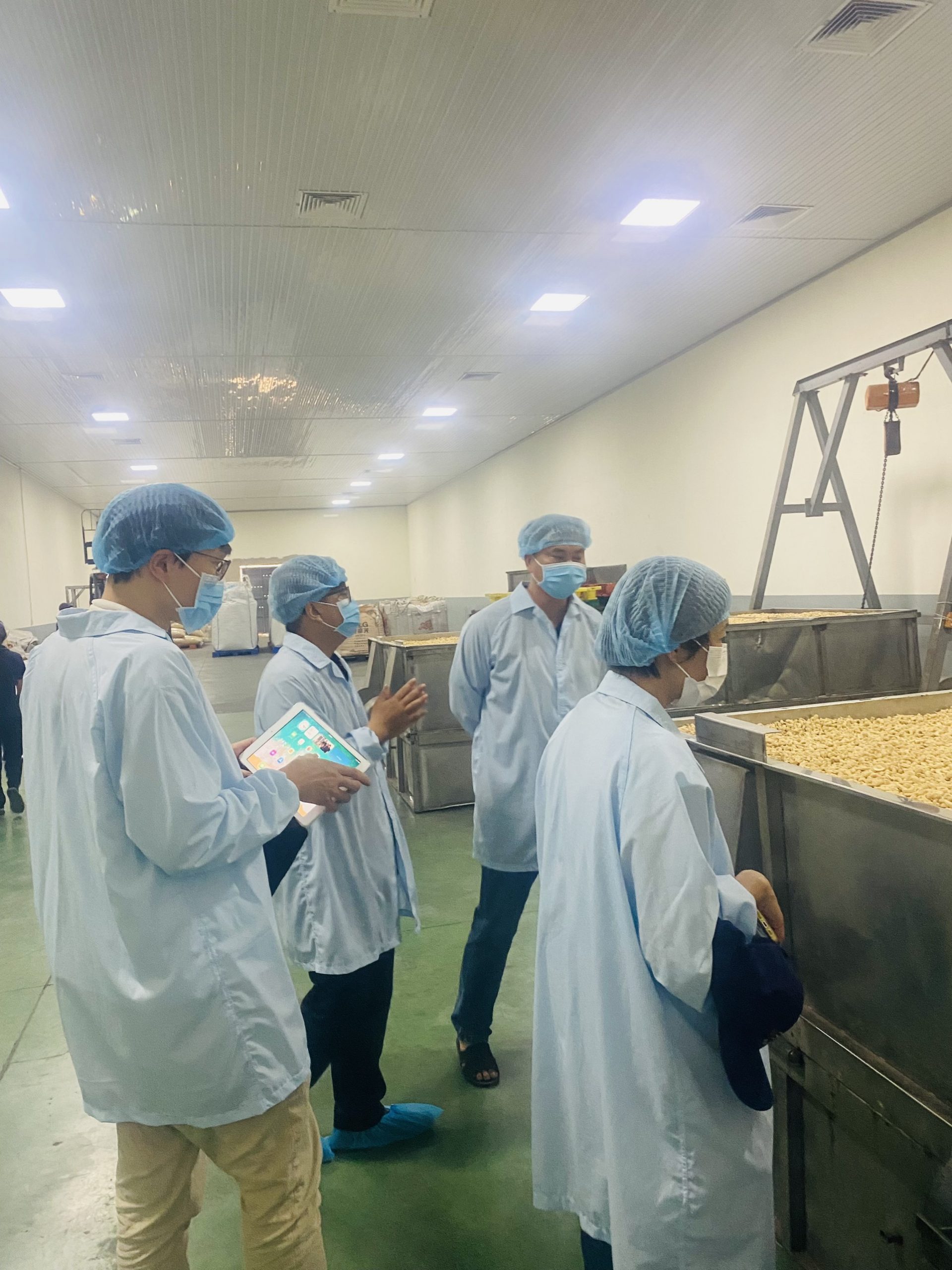 Exploring the Organic Cashew Nut Production Plant in Binh Duong: Blending Modernity and Sustainability