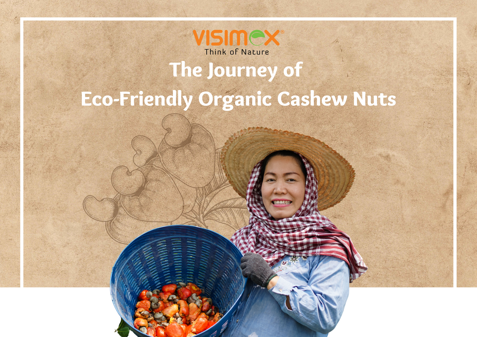 From Farm to Table: The Journey of Eco-Friendly Organic Cashew Nuts