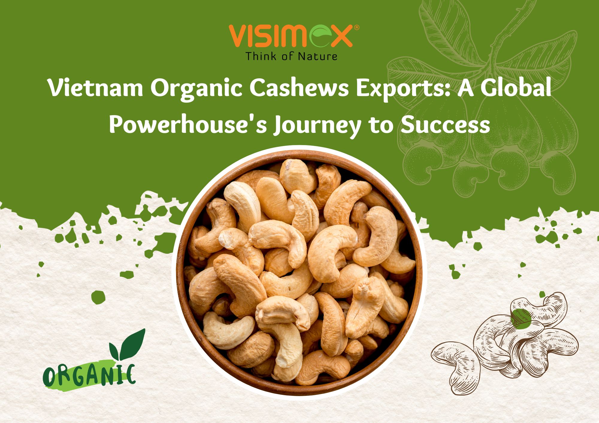 Vietnam Organic Cashews Export