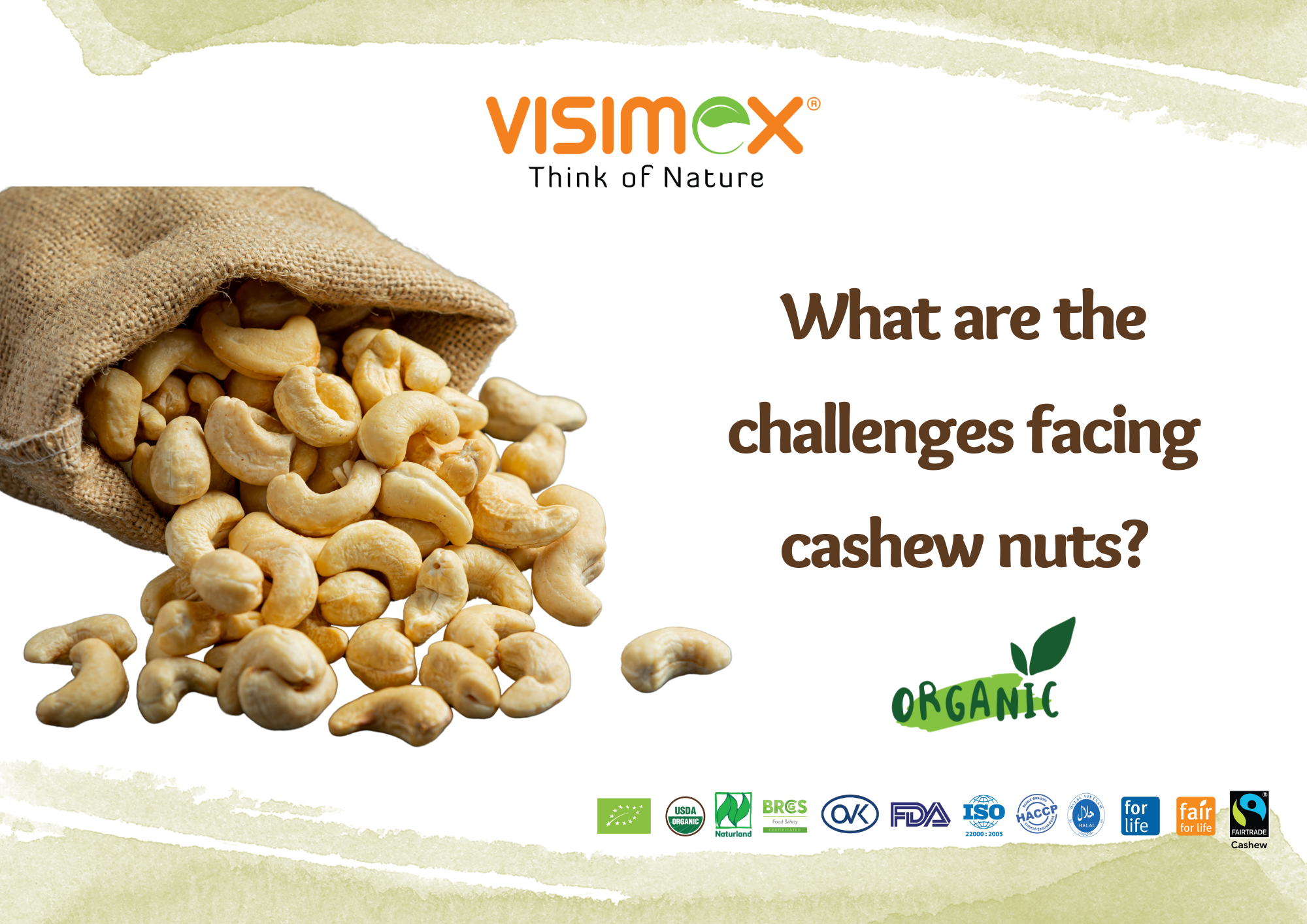Challenges of cashew nuts