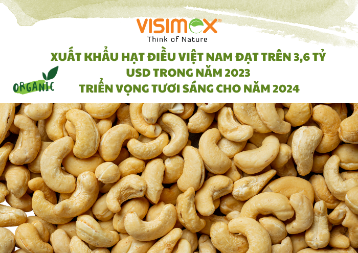 Xuất Khẩu Hạt Điều Việt Nam Đạt Trên 3,6 Tỷ USD Trong Năm 2023: Triển Vọng Tươi Sáng Cho Năm 2024
