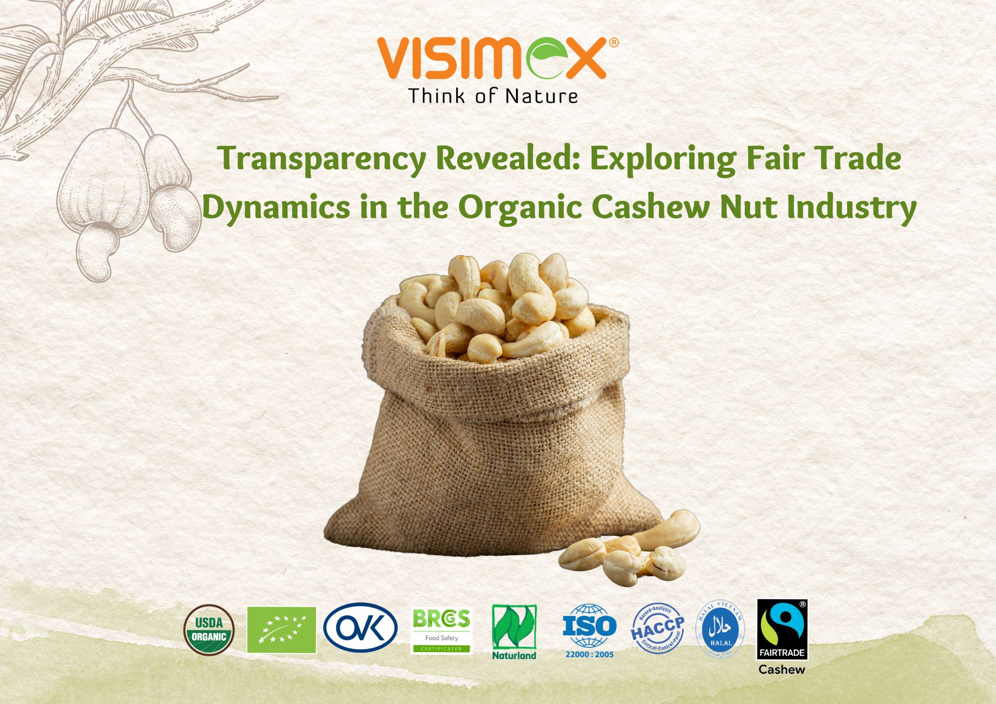 Organic Cashew Nut Industry