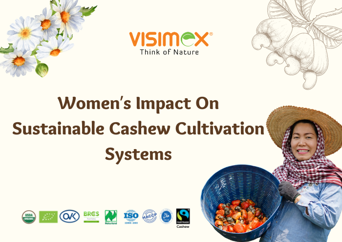 Women's Impact On Cashew Systems