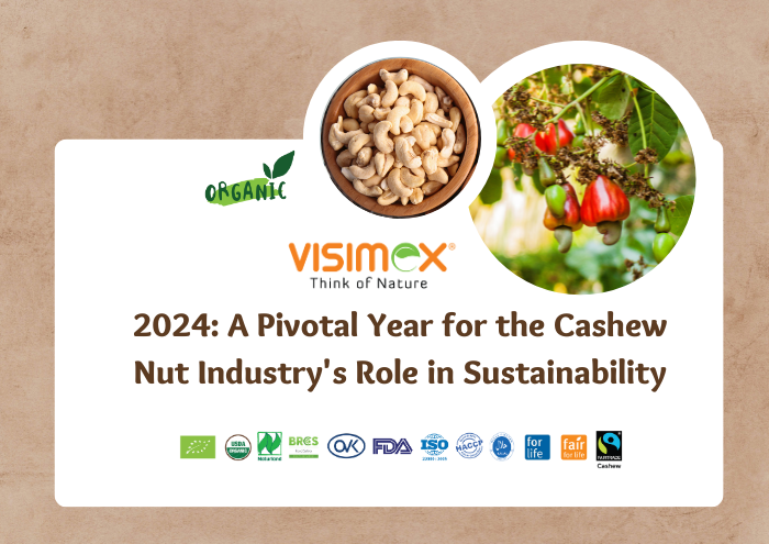 Cashew Nut Industry Role