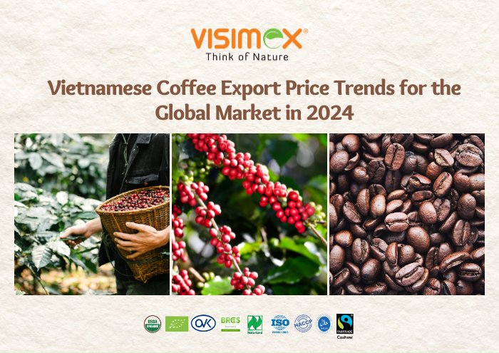 Vietnamese Coffee Export Price Trends for the Global Market in 2024