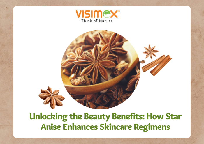 Unlocking the Beauty Benefits: How Star Anise Enhances Skincare Regimens