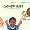 Nurturing Little Bodies for Children with Cashew nuts
