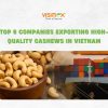 Top 6 Companies Exporting High-Quality Cashews in Vietnam