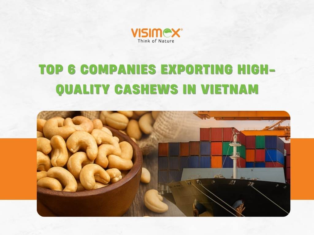 Top 6 Companies Exporting High-Quality Cashews in Vietnam