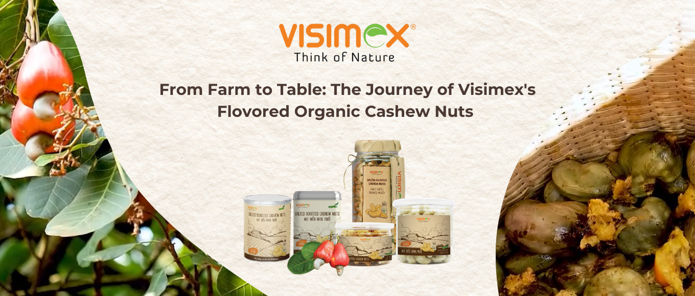 The Journey of Visimex's Processed Organic Cashew Nuts
