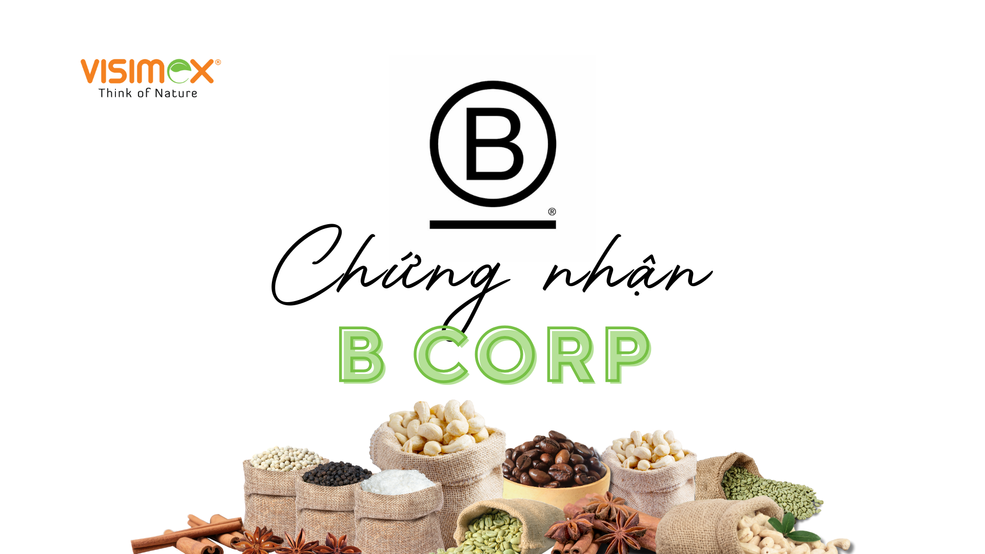 Chứng Nhận B Corp: Thước Đo Uy Tín Và Minh Chứng Cho Phát Triển Bền Vững