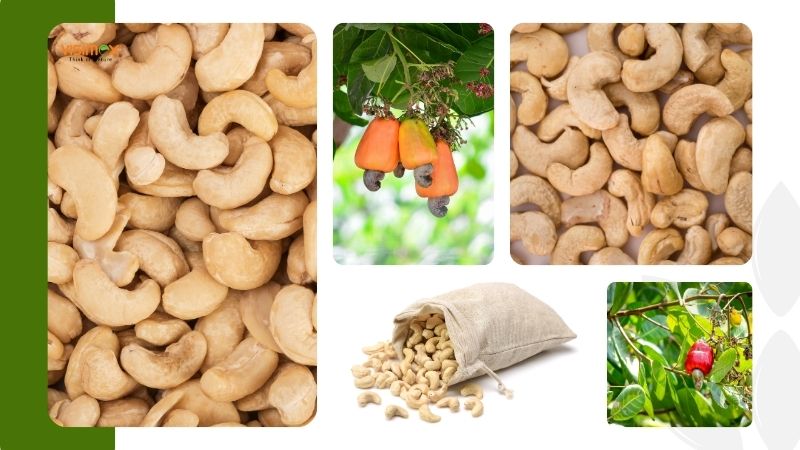 Strict quality assurance & full traceability