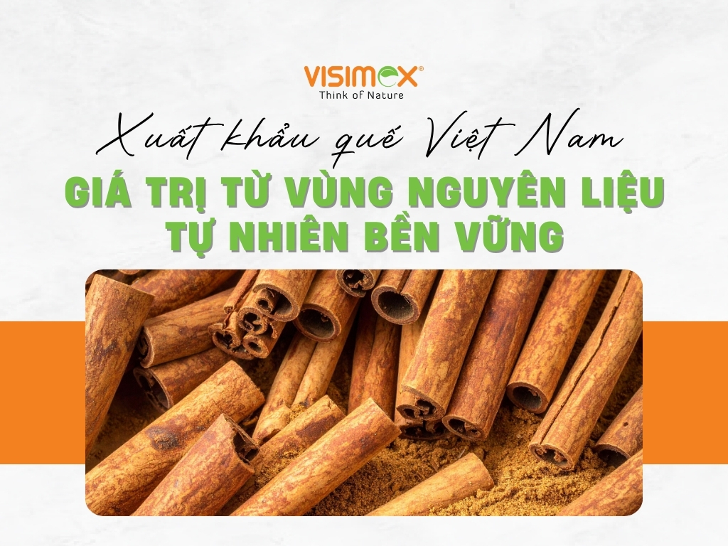 Xuất Khẩu Quế Việt Nam – Giá Trị Từ Vùng Nguyên Liệu Tự Nhiên Bền Vững