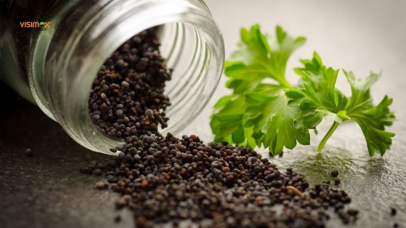 Can I Have Black Pepper Before Colonoscopy?