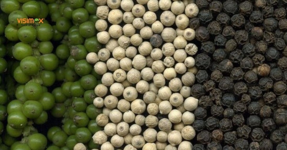 White Pepper in India