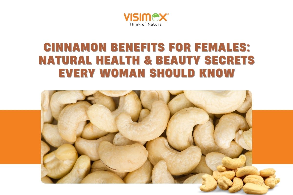 Healthy Lifestyle with Cashew: Top 10 Reasons to Eat Cashews Every Day