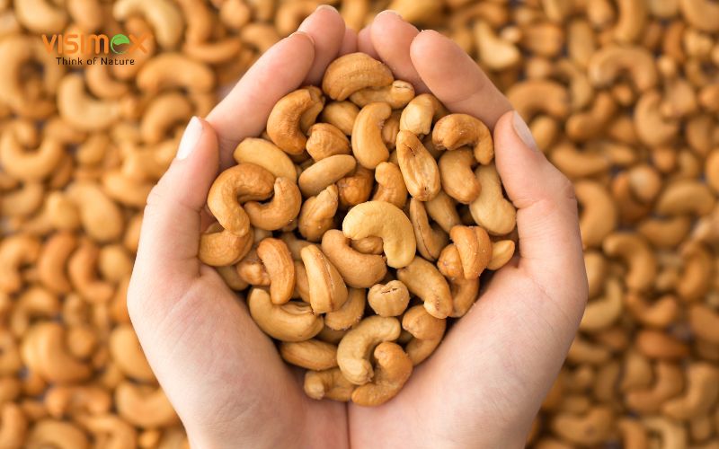 Discover how a healthy lifestyle with cashew can transform your daily nutrition. Learn 10 science-backed reasons to eat cashews every day for better heart health, weight control, skin, hair, and overall wellness.