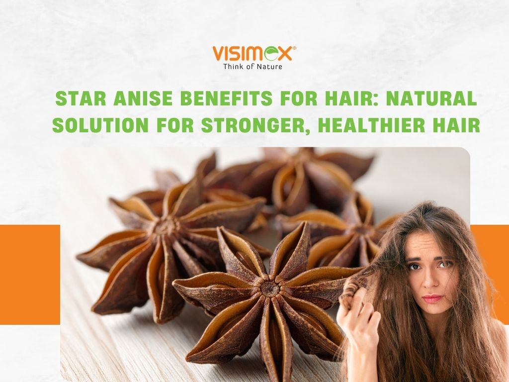 Star Anise Benefits for Hair: Natural Solution for Stronger, Healthier Hair